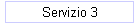 Servizio 3